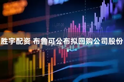 胜宇配资 布鲁可公布拟回购公司股份