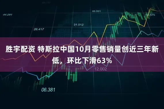 胜宇配资 特斯拉中国10月零售销量创近三年新低,环比下滑63%